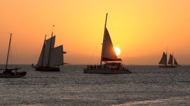 Günbatımında Key West sahilinde yelkenli sürüyor.
