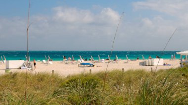Güneşli bir günde Miami sahilinin kumulları