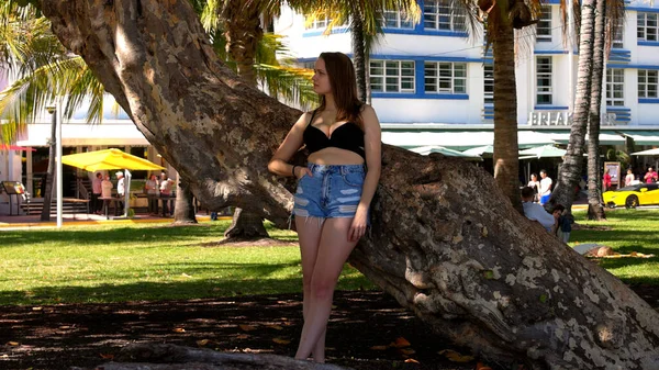Młoda seksowna kobieta opierająca się o palmę na plaży — Zdjęcie stockowe