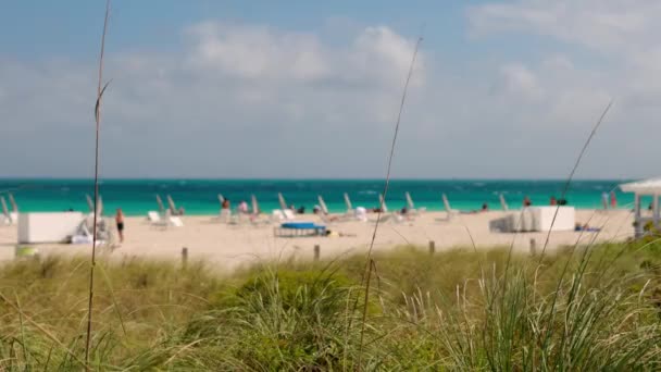 Güneşli bir günde Miami sahilinin kumulları — Stok video