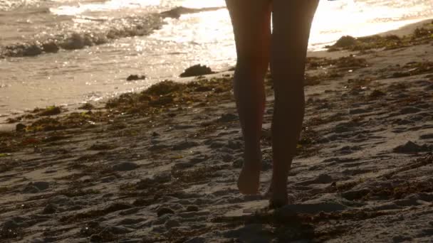 Schöne junge Frau im Badeanzug am Strand von Key West — Stockvideo