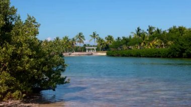 Florida Keys 'in sakin okyanus suyu