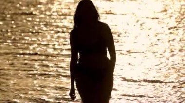 Gün batımında altın okyanus suyuna karşı bir kadının silueti.