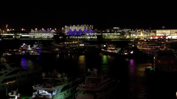 Marina de Miami - Port de Miami la nuit — Video