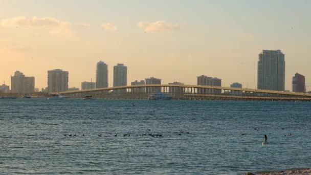 El horizonte de Miami con Rickenbacker Causeway — Vídeos de Stock
