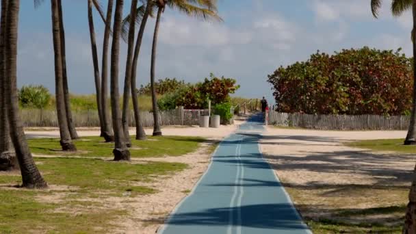 Walkway to the beach at South beach of Miami — Stock Video