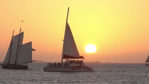 Плавучі човни біля узбережжя Кі-Вест у заході сонця. — стокове відео