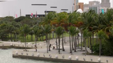 Miami Perez Sanat Müzesi 'ndeki Müze Perez Parkı - MIAMI, FLORIDA - 14 Şubat 2022
