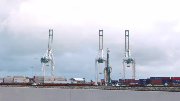 Cranes at Port of Miami - MIAMI, FLORIDA - FEBRUARY 14, 2022 — Stock Video