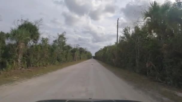 POV Dirigir através dos Everglades em uma estrada de terra - CHAVE WEST, FLORIDA - FEVEREIRO 15, 2022 — Vídeo de Stock