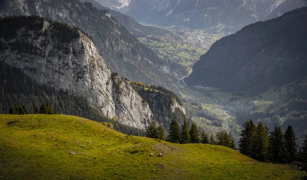 Populärt berg i de schweiziska alperna som kallas Schynige Platte i Schweiz — Stockfoto