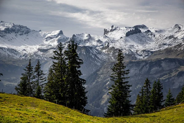 Τα υπέροχα βουνά των ελβετικών Άλπεων — Φωτογραφία Αρχείου