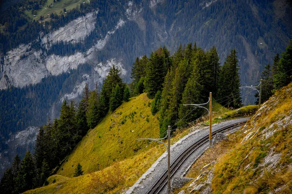 İsviçre Alplerinde Schynige Platte adında popüler bir dağdır. — Stok fotoğraf