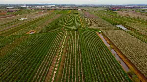 Famoso quartiere Altes Land nella città di Amburgo con i suoi enormi campi di meli — Foto Stock