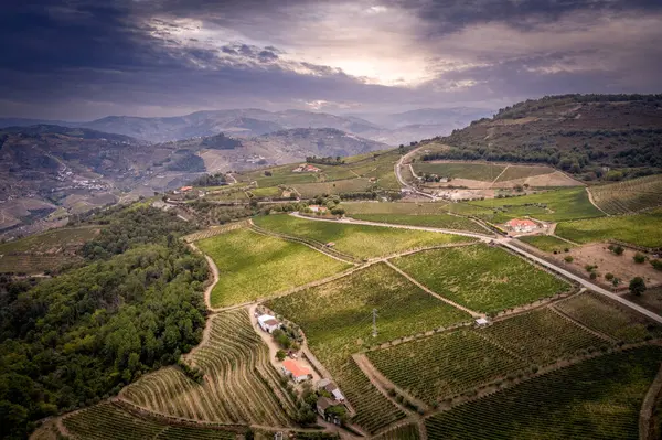 Fantastiskt landskap i Portugal vid Dourodalen — Stockfoto