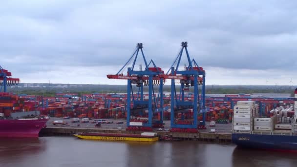 Hamburg Limanı 'ndaki konteyner terminali. — Stok video