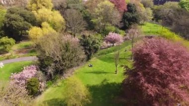 Famous St Stephens Green Park in Dublin from above - aerial view