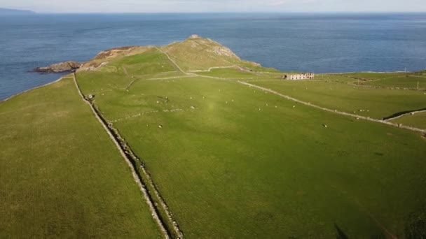 De prachtige Causeway Coast bij Torre Head in Noord-Ierland - vanuit de lucht — Stockvideo