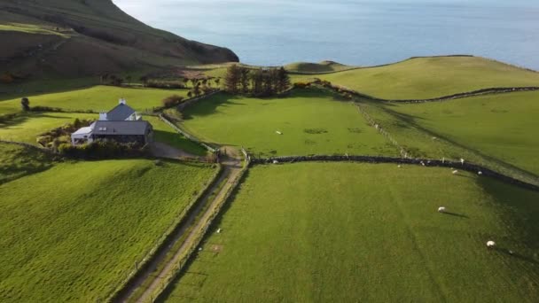 北爱尔兰托雷海角美丽的铜锣湾海岸-空中景观 — 图库视频影像