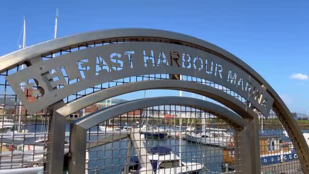 Belfast Harbour Marina - BELFAST, UK - APRIL 25, 2022 — Stock Video