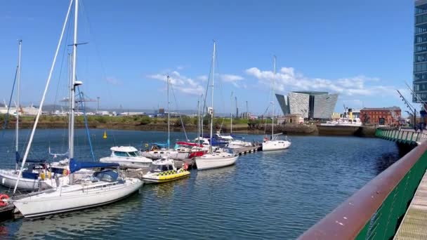 Belfast Harbour Marina - BELFAST, UK - APRIL 25, 2022 — Stock videók