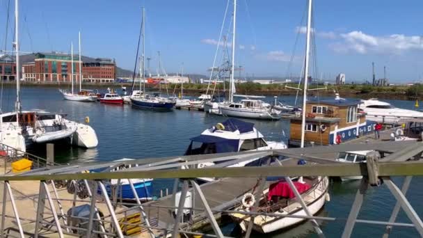 Belfast Harbour Marina - BELFAST, UK - APRIL 25, 2022 — Stock videók