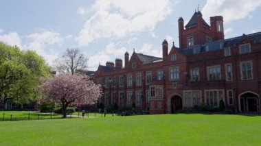 Queens Üniversitesi Belfast - seyahat fotoğrafçılığı