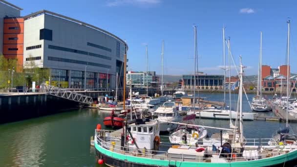 Belfast Harbour Marina - BELFAST, UK - APRIL 25, 2022 — Stock videók