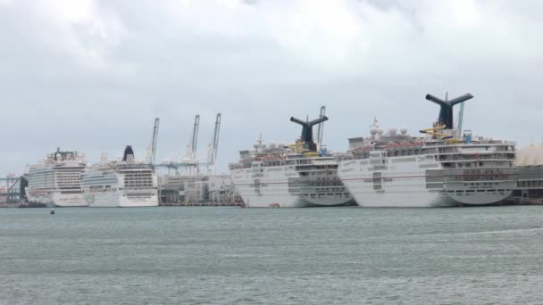 Royal Carribbean Cruise liners at Port of Miami - MIAMI, FLORIDA - FEBRUARY 14, 2022 — Stock Video