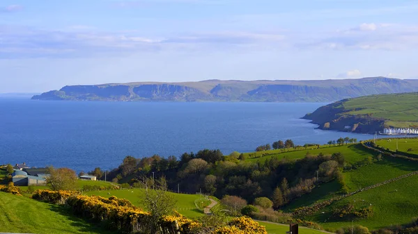 Foto Van Vakantie Causeway Coast Noord Ierland — Stockfoto