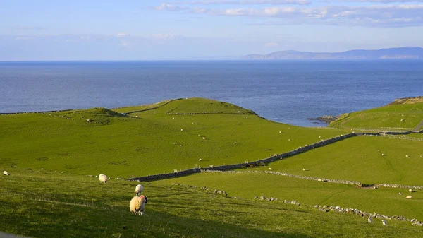 Die Schöne Causeway Coast Bei Torre Head Nordirland Reisefotos Irland — Stockfoto
