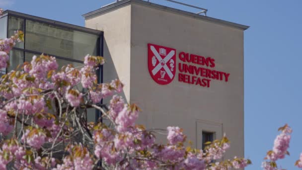 Queens Üniversitesi Belfast Belfast Birleşik Kingdom Nisan 2022 — Stok video