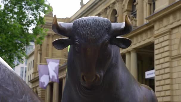 Bull Bear Frankfurt Stock Exchange Frankfurt Main Germany July 2022 — 비디오