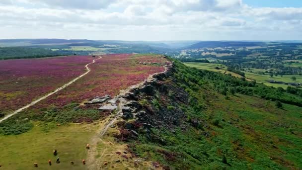 Peak District National Park Air View Drone Photography — стокове відео
