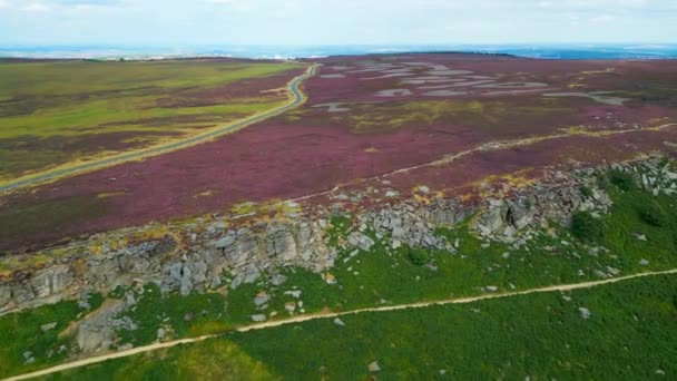 Beautiful Heather Peak District National Park Aerial View Drone Photography — Vídeo de Stock