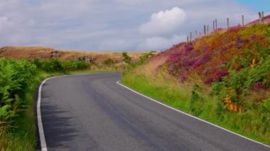 Beautiful heather fields in the Peak District - travel photography