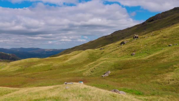Amazing Landscape Nature Lake District National Park Travel Photography — Vídeo de stock