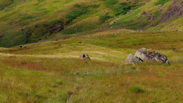 Amazing Landscape Nature Lake District National Park Travel Photography — Stock video