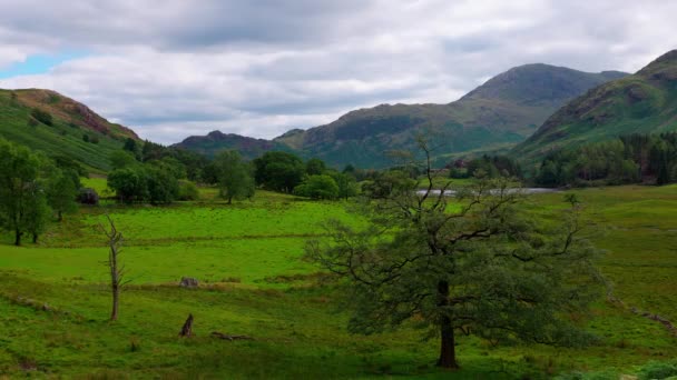 Amazing Landscape Nature Lake District National Park Travel Photography — Stock video