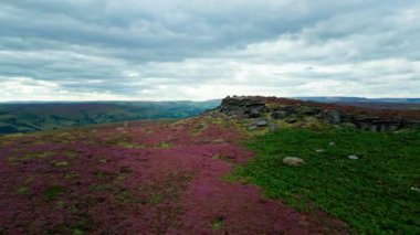 Beautiful heather in the Peak District National Park - aerial view - drone photography