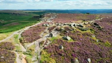 Beautiful heather in the Peak District National Park - aerial view - drone photography