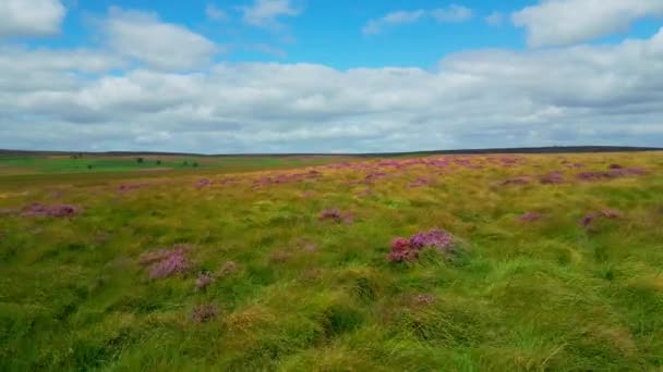 Peak District National Park Aerial View Drone Photography — Video Stock