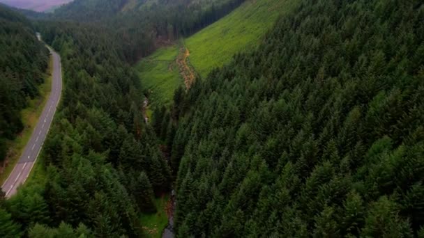 Snake Woodland Peak District Αεροφωτογραφία Drone — Αρχείο Βίντεο