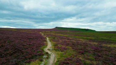 Beautiful heather in the Peak District National Park - aerial view - drone photography