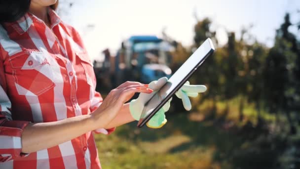 Appeloogst. boer met tablet. close-up. Oogstinspectie. vrouwelijke agronomist maakt gebruik van digitale tablet, moderne technologie in tuinieren, landbouw. Technologie van de landbouw. — Stockvideo