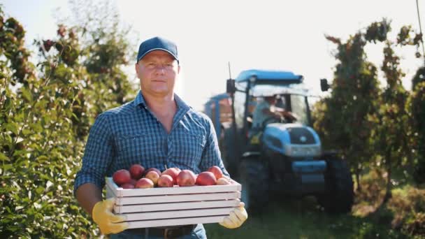 Appeloogst. boer. biologisch fruit. appelteelt. appeloogst plukken. Tuinieren. biologisch voedsel. eco tuin. werknemers plukken rijpe appels in boomgaard. — Stockvideo