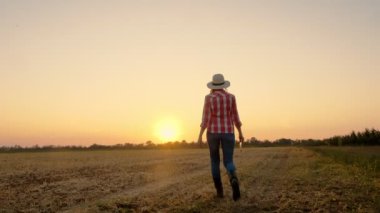Çiftçi gün batımında yürüyor. Çiftçilik. Çiftçi silueti. Elinde dijital tabletle kadın çiftçi gün batımında ya da yükselen güneşte çim biçme tarlasında yürüyor. tarım tarım sektörü kavramı.