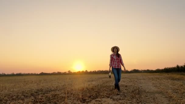 Boer loopt bij zonsondergang. landbouw. boerensilhouet. vrouwelijke boer met digitale tablet in haar handen, lopend door een gemaaid veld, bij zonsondergang of de rijzende zon. landbouwbedrijfsconcept. — Stockvideo