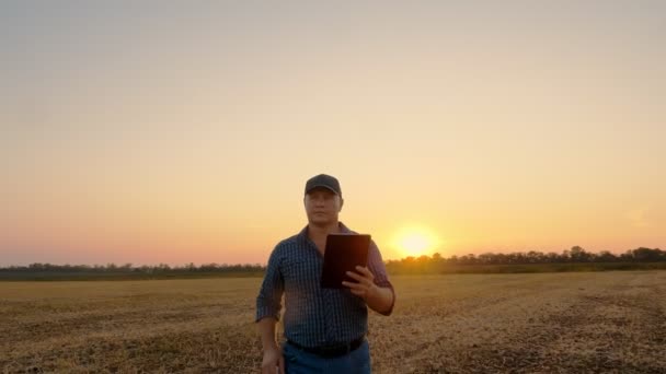 Bonden går vid solnedgången. Jordbruk. bonde siluett. bonde med digital surfplatta i sina händer, går genom ett klippfält, vid solnedgången eller den uppgående solen. jordbrukets affärsidé. — Stockvideo