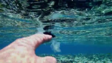 Denizde çöp. Denizi temizle. Sudaki çöpleri toplayın. Yakın plan. Erkek el atıkları yakalar, plastik torbalar kullanır. Birinci şahıs görüşü. Deniz ya da okyanus kirliliği. çevre koruması.